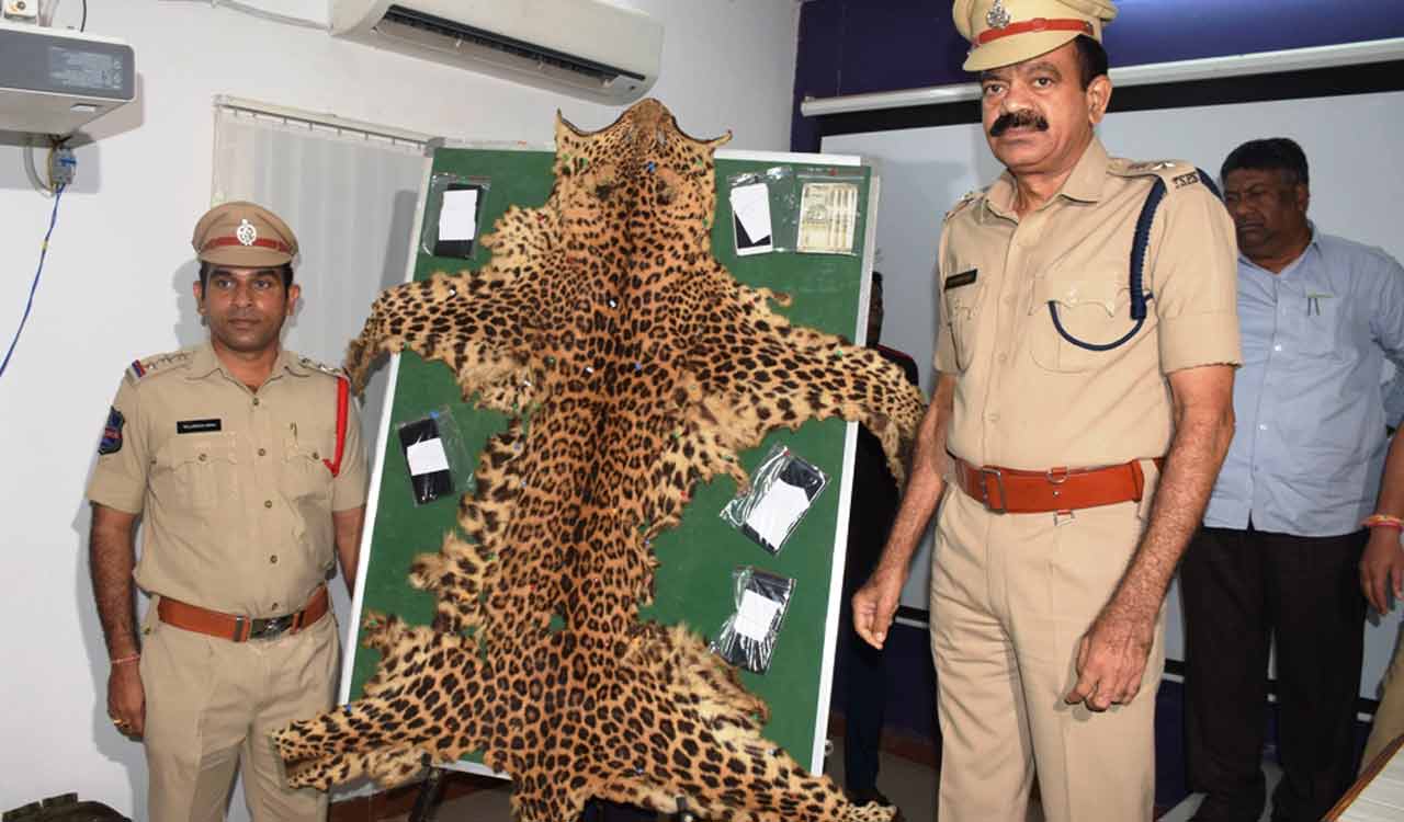 Telangana: Six poachers arrested, leopard skin seized in Bhupalpally