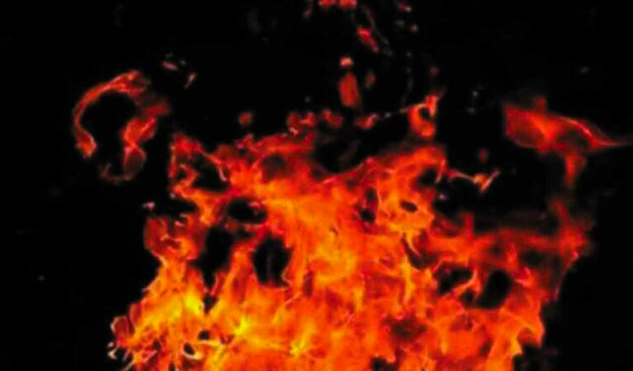 Andhra Pradesh: Two dead after fire breaks out at fireworks stall