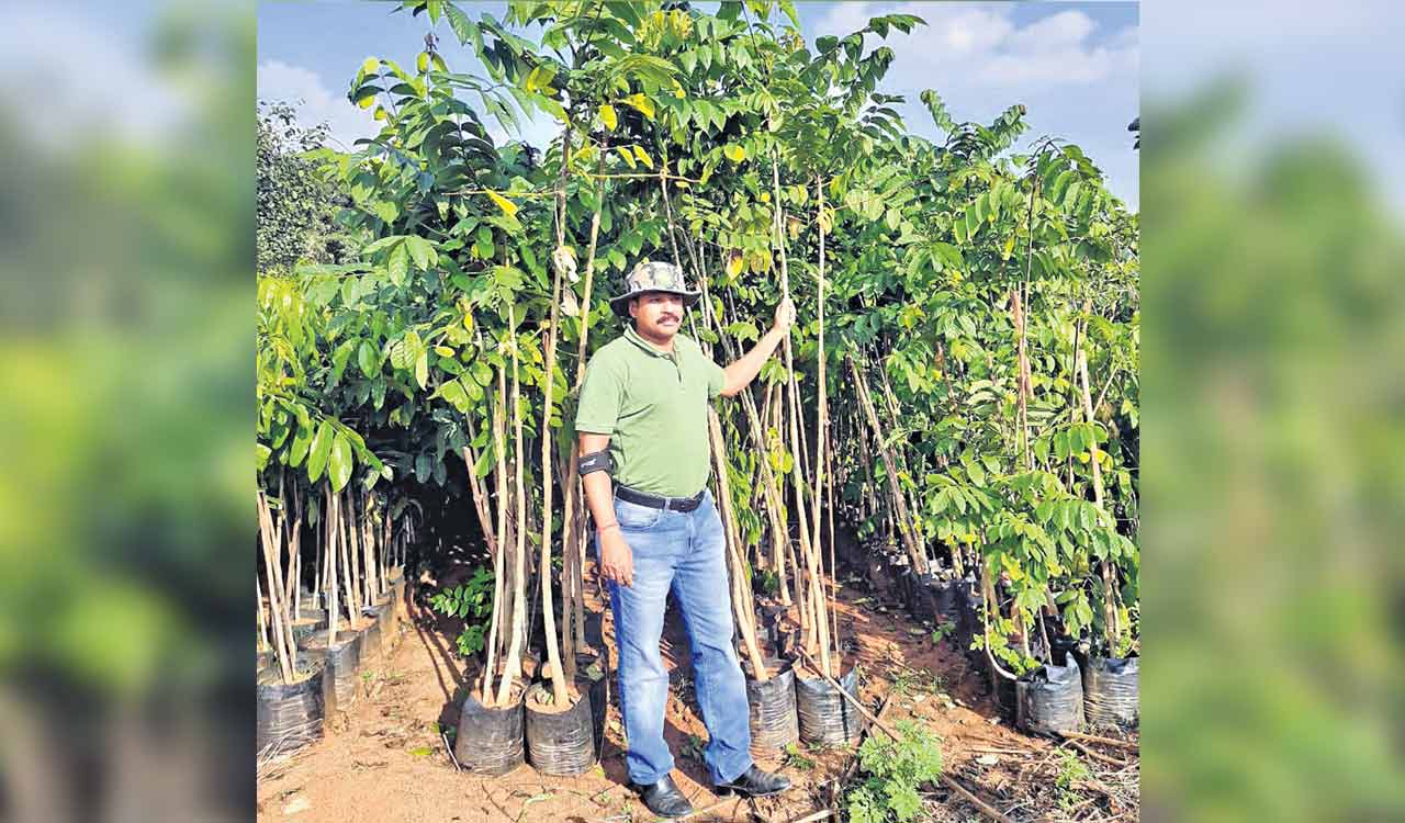 Tamil Nadu studies Haritha Haram, aims to plant 256 crore saplings