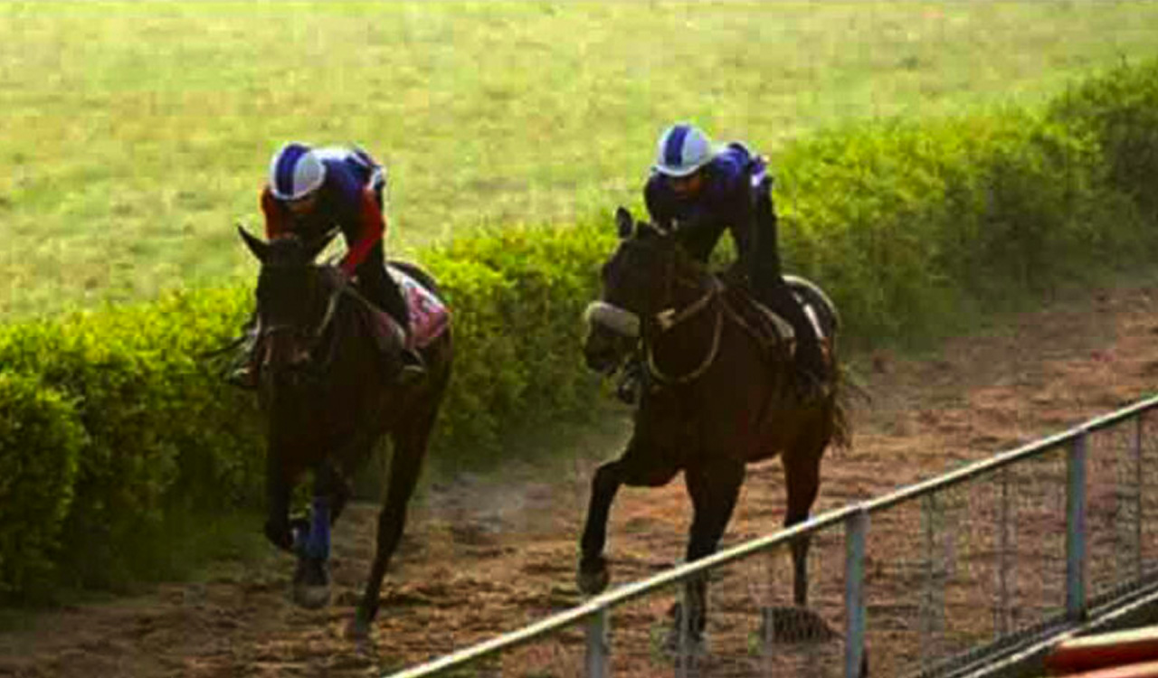 Horse Racing: Path Of Peace, Xfinity & Grand Duke shine in trials at Hyderabad Race Course