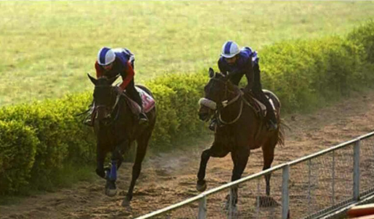 Horse Racing: Victorious Sermon fancied for Kolkata feature