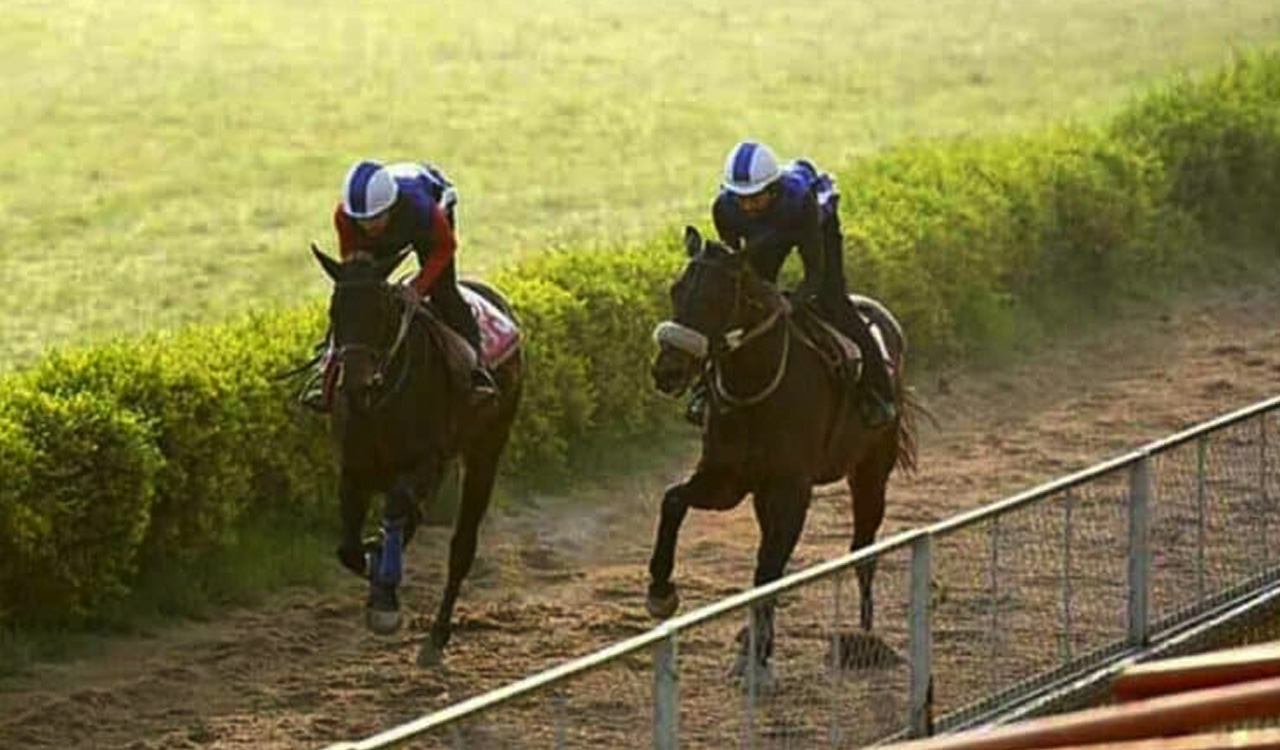 Horse Racing: City Of Bliss impresses in trials at Malakpet Race Course