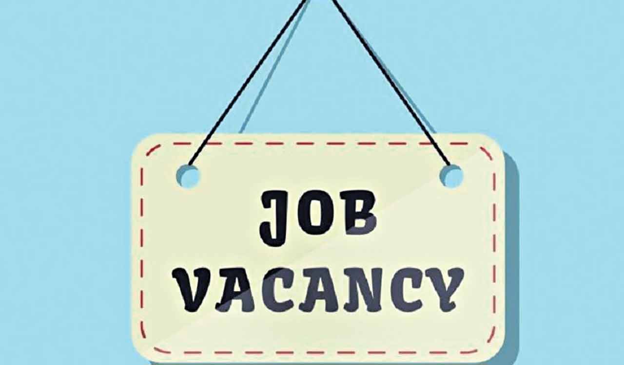 End your job search with DEET