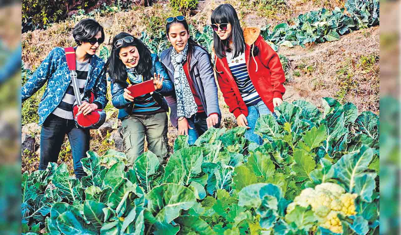 Opinion: Raising agriculture, food exports