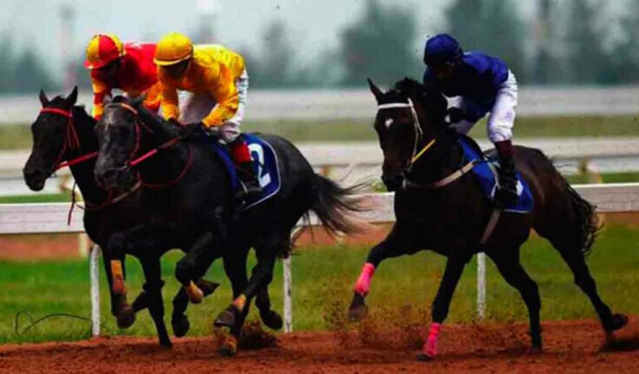 Horse Racing: Team Player wins Hanamkonda Cup