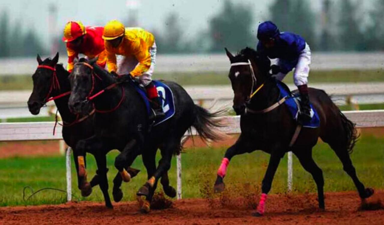 Horse Racing: Redoubtable fancied for Kolkata feature