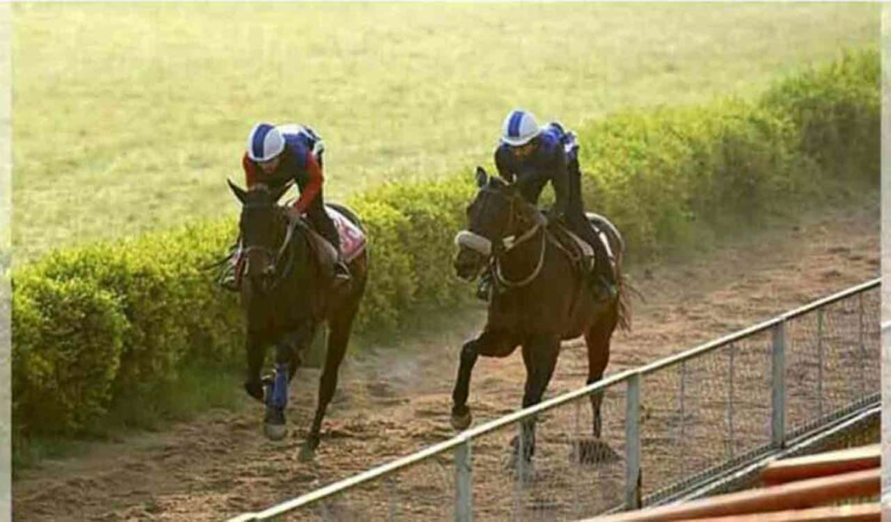 Horse Racing: Priceless Ruler fancied for Chennai feature