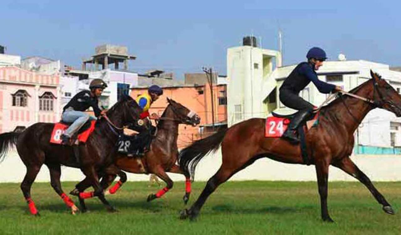Horse Racing: Ascoval has the edge in Mysuru feature