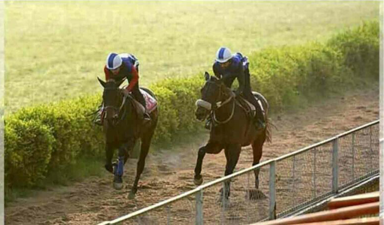 Horse Racing: Salento wins Hyderabad feature