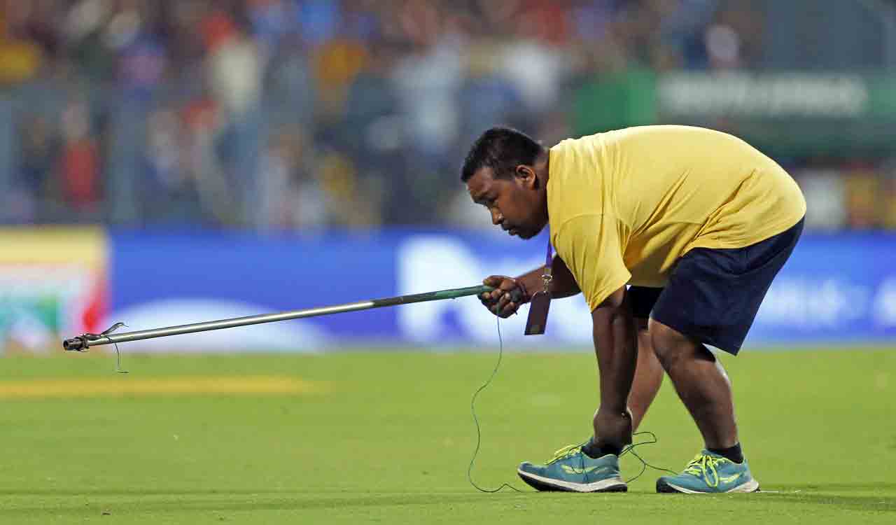 Snake interrupts play during second IND-SA T20I