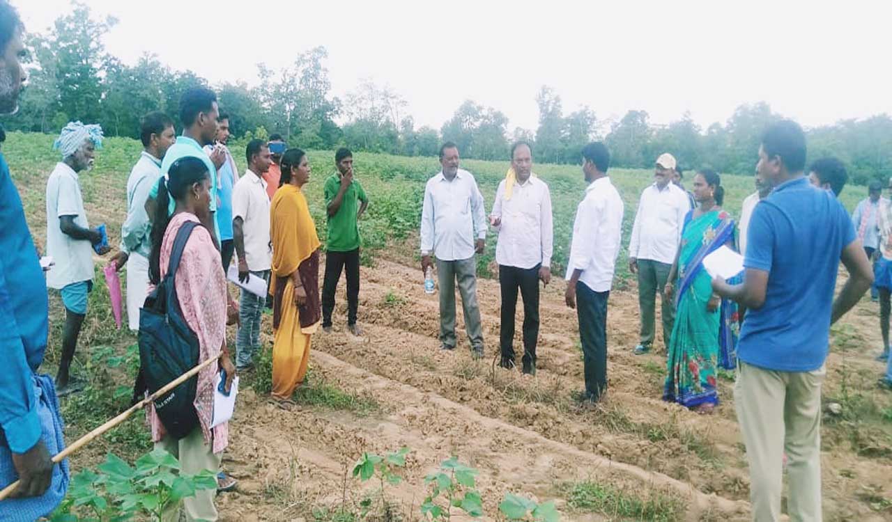 Survey of podu lands gathers pace in erstwhile Warangal
