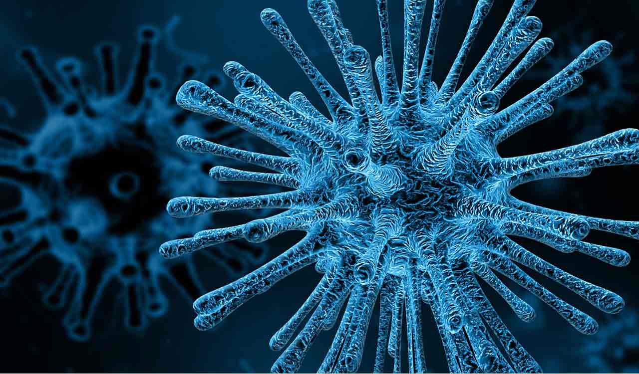 48,500 year old zombie virus revived by scientists in Russia