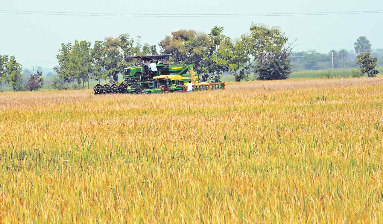 Telangana sets new benchmarks in agricultural cultivation, production