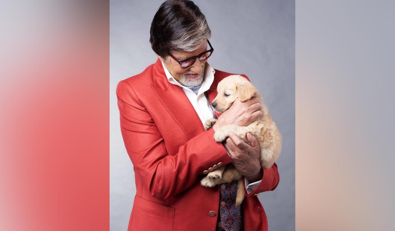Amitabh Bachchan mourns death of his pet dog, shares emotional note
