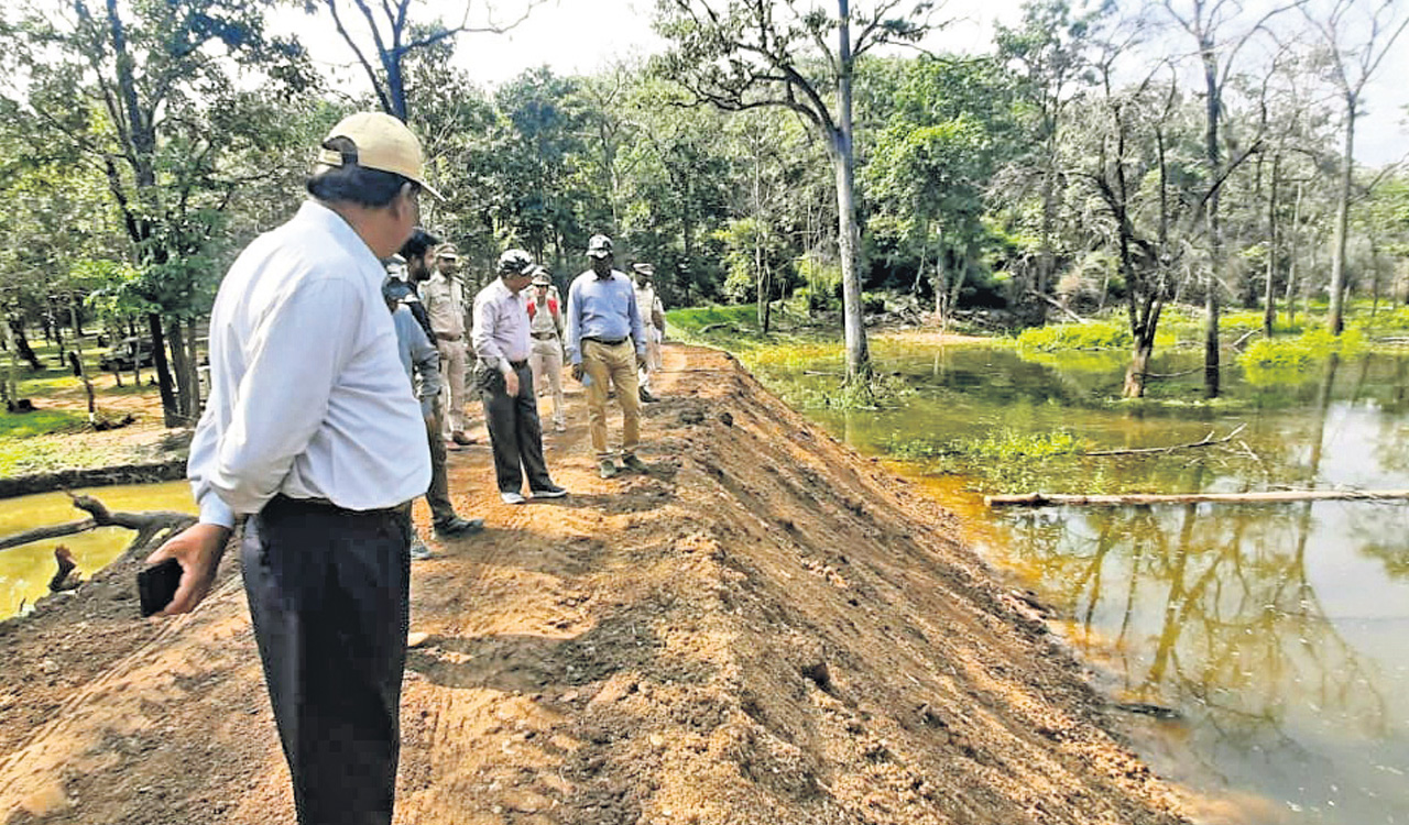 Telangana: NTCA’s MEE team inspects Amrabad, Kawal Tiger Reserves