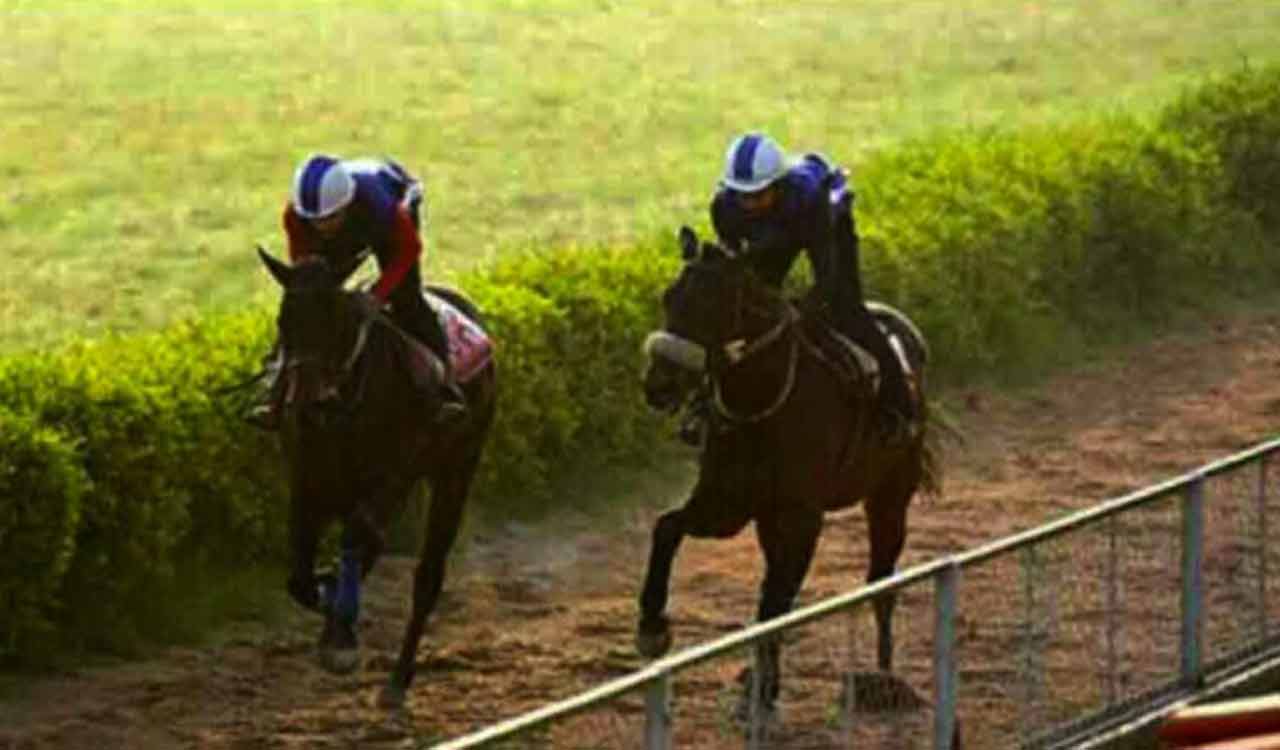 Horse Racing: Arthur, True Marshall, Juramento impress in trials