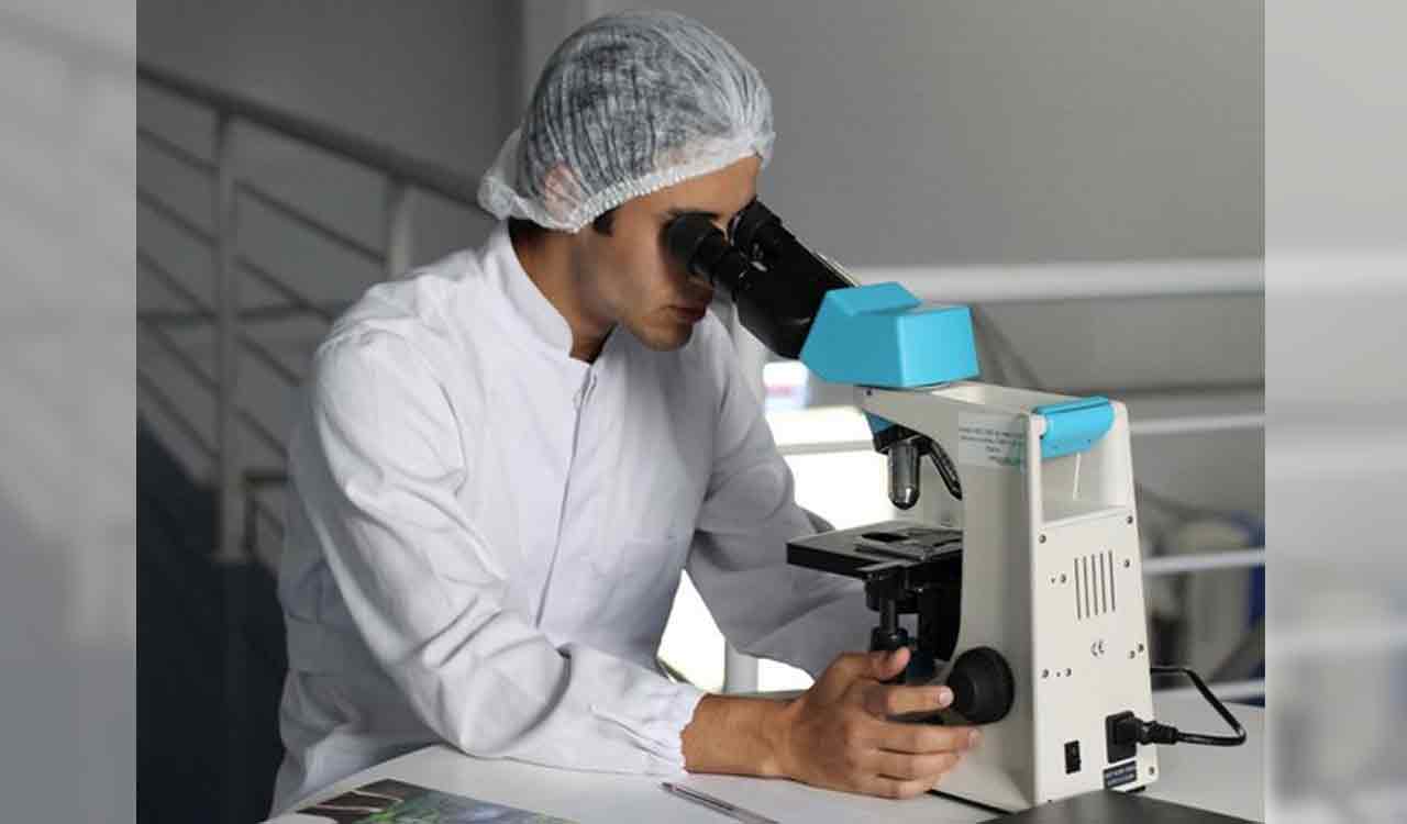 Healthy gut microbiome helps to improve cancer treatment: Study