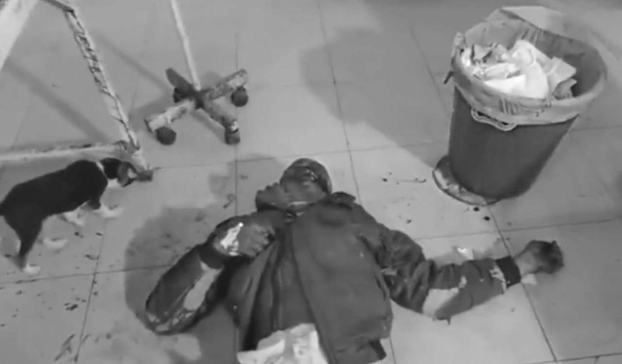 Dog licks wounds of patient in UP hospital, six health workers terminated