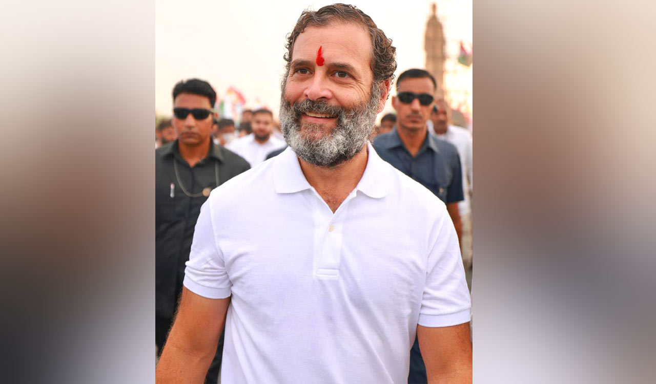 Himachal will vote for OPS, employment: Rahul Gandhi