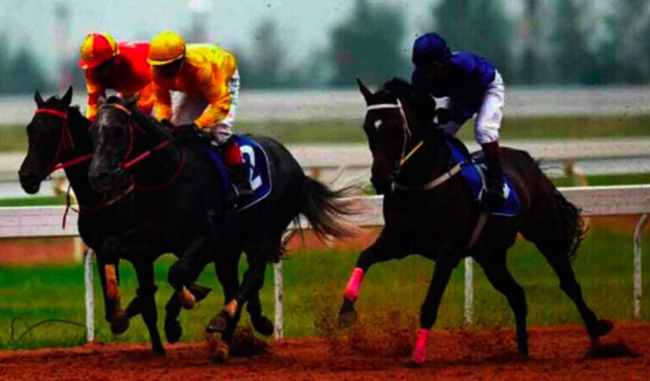 Horse Racing: Euphoric fancied for Chennai feature