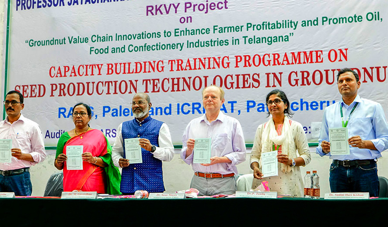 ICRISAT, PJTSAU join hands to boost groundnut production across Telangana