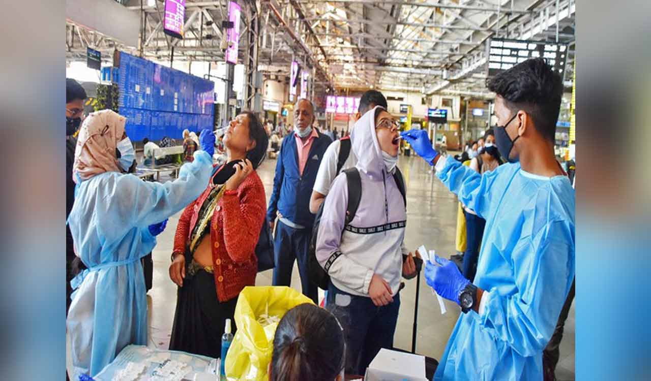 India records 291 new COVID-19 cases, two fatalities