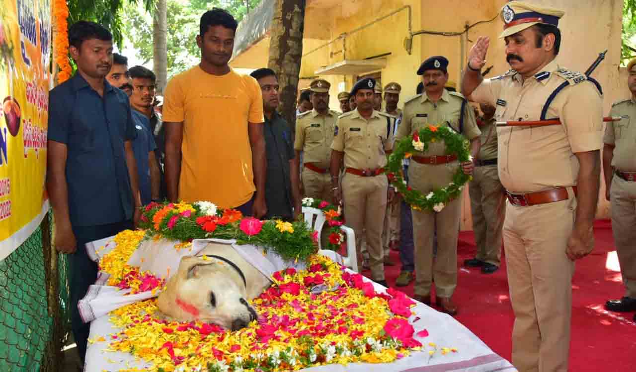 Karimnagar police sniffer dog Tyson dies
