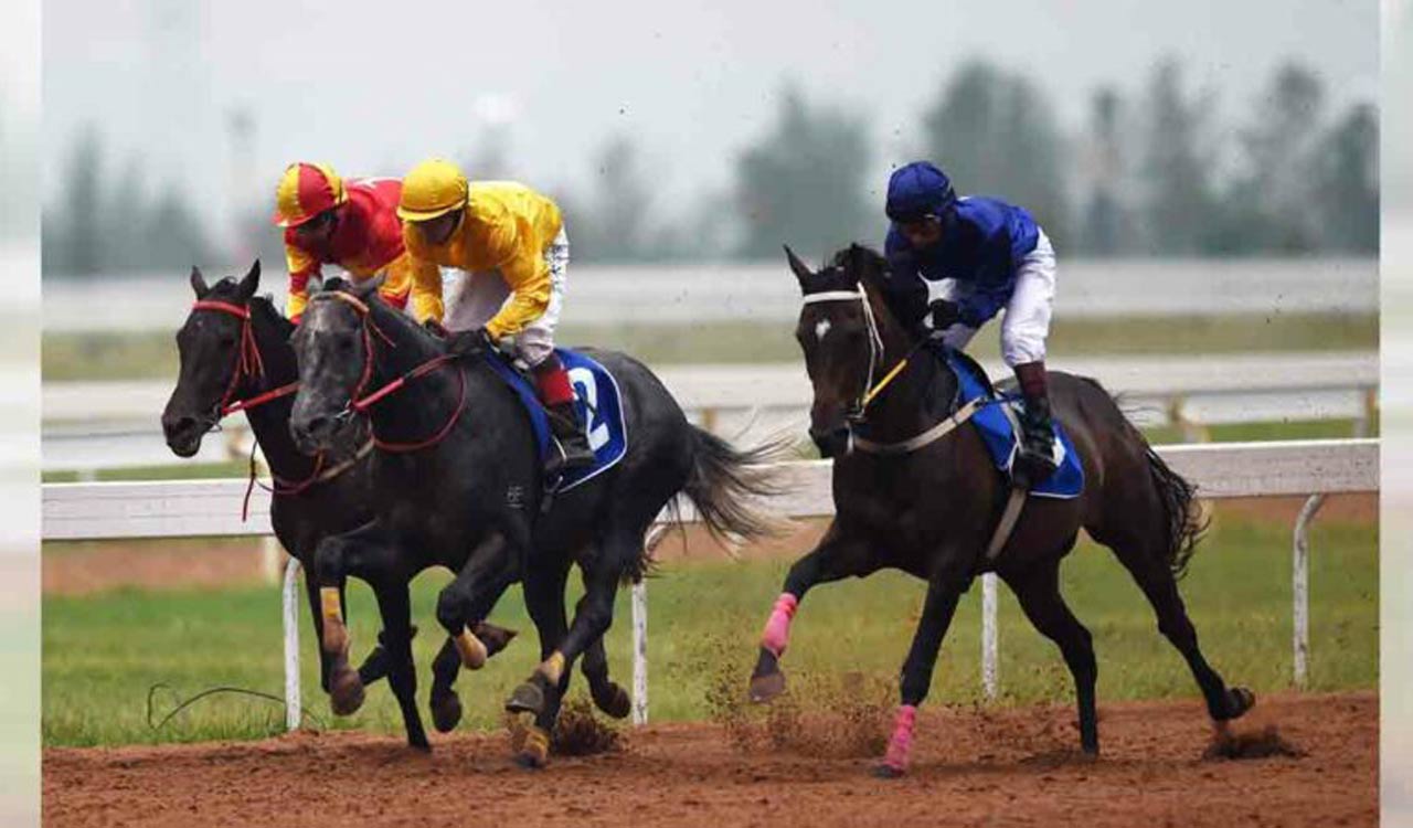 Horse Racing: Agnostic fancied for Kolkata feature
