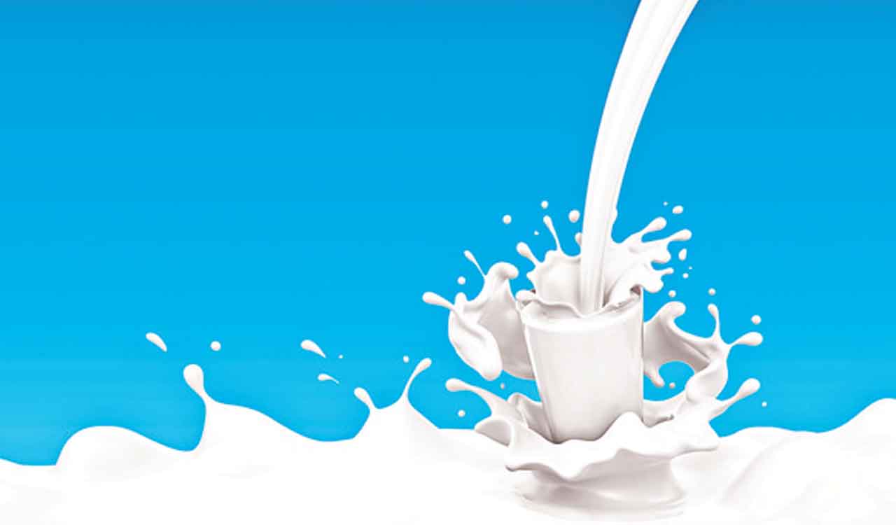 Winter blues hit milk production in Karimnagar