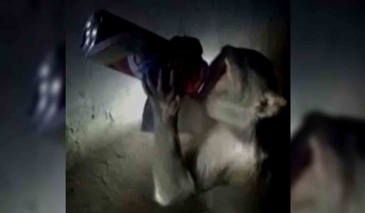 Alcoholic monkey in Rae Bareli troubles liquor venders