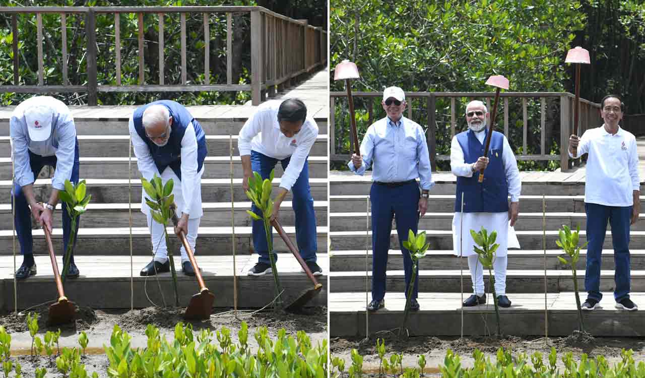 PM Modi plants mangroves in Taman Hutan Raya Ngurah Rai mangrove forest in Bali