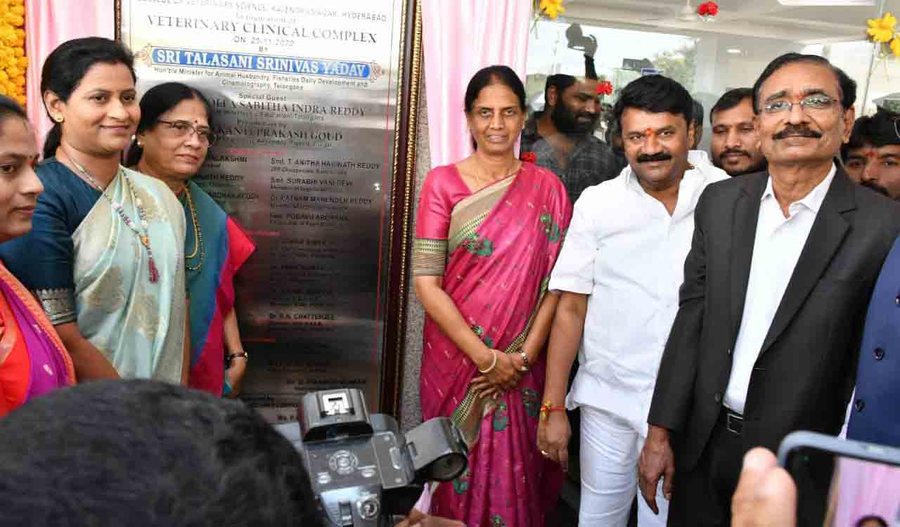 ‘New veterinary colleges soon at Siddipet, Nizamabad, Nalgonda’