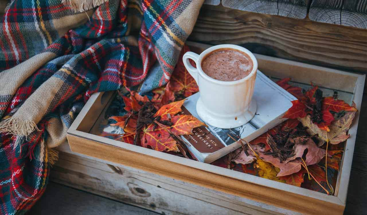 ’Tis the season for hot chocolate