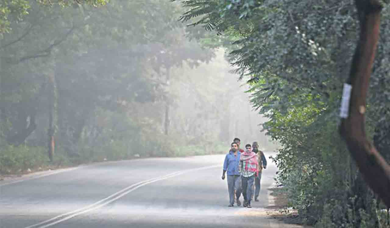Winter chill: IMD issues yellow alert for Hyderabad