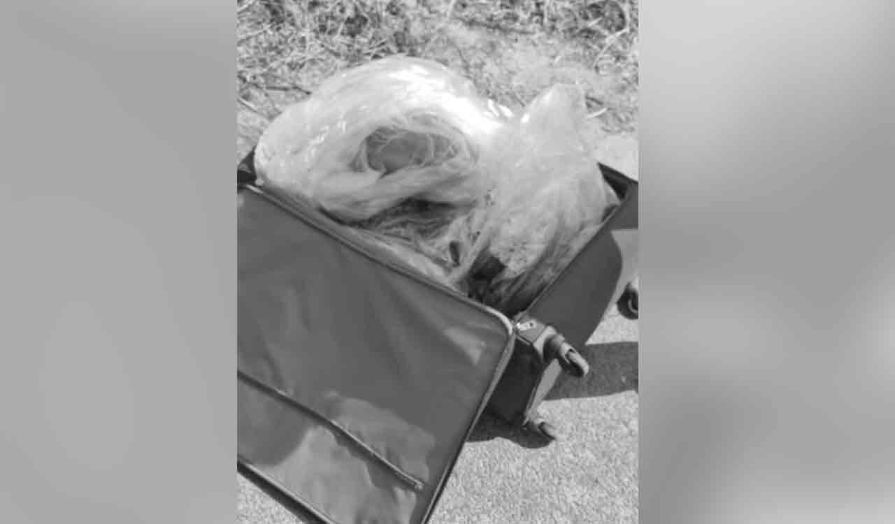 Woman’s body found stuffed in suitcase on Yamuna Expressway service road