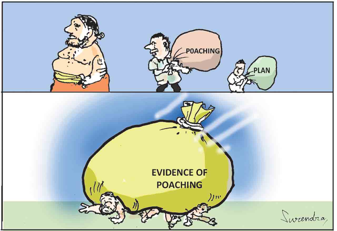 Cartoon: November 23, 2022