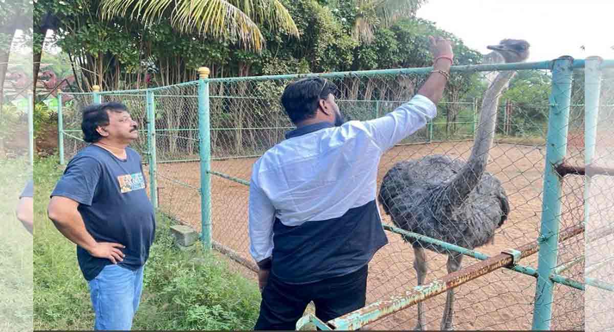 Chikoti Praveen’s farmhouse becomes talk of the town in AP and Telangana 