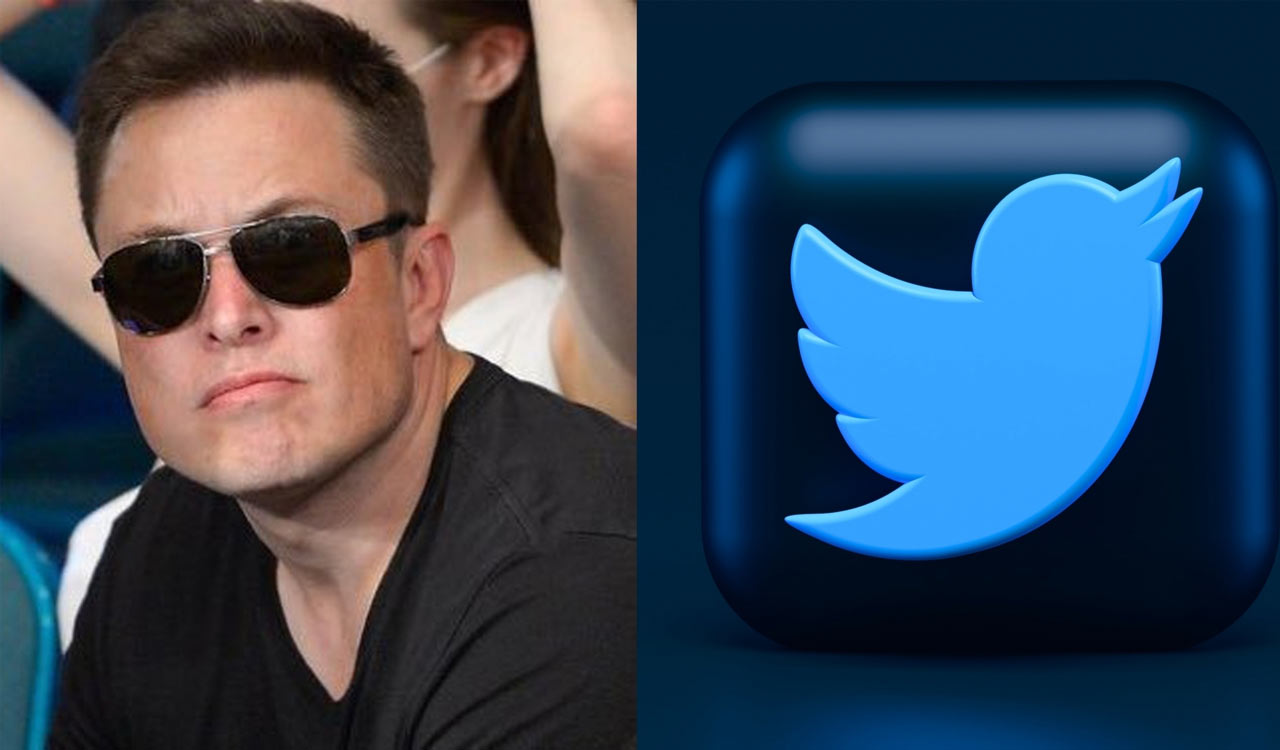 Elon Musk tests $8 Twitter Blue with verification on iOS