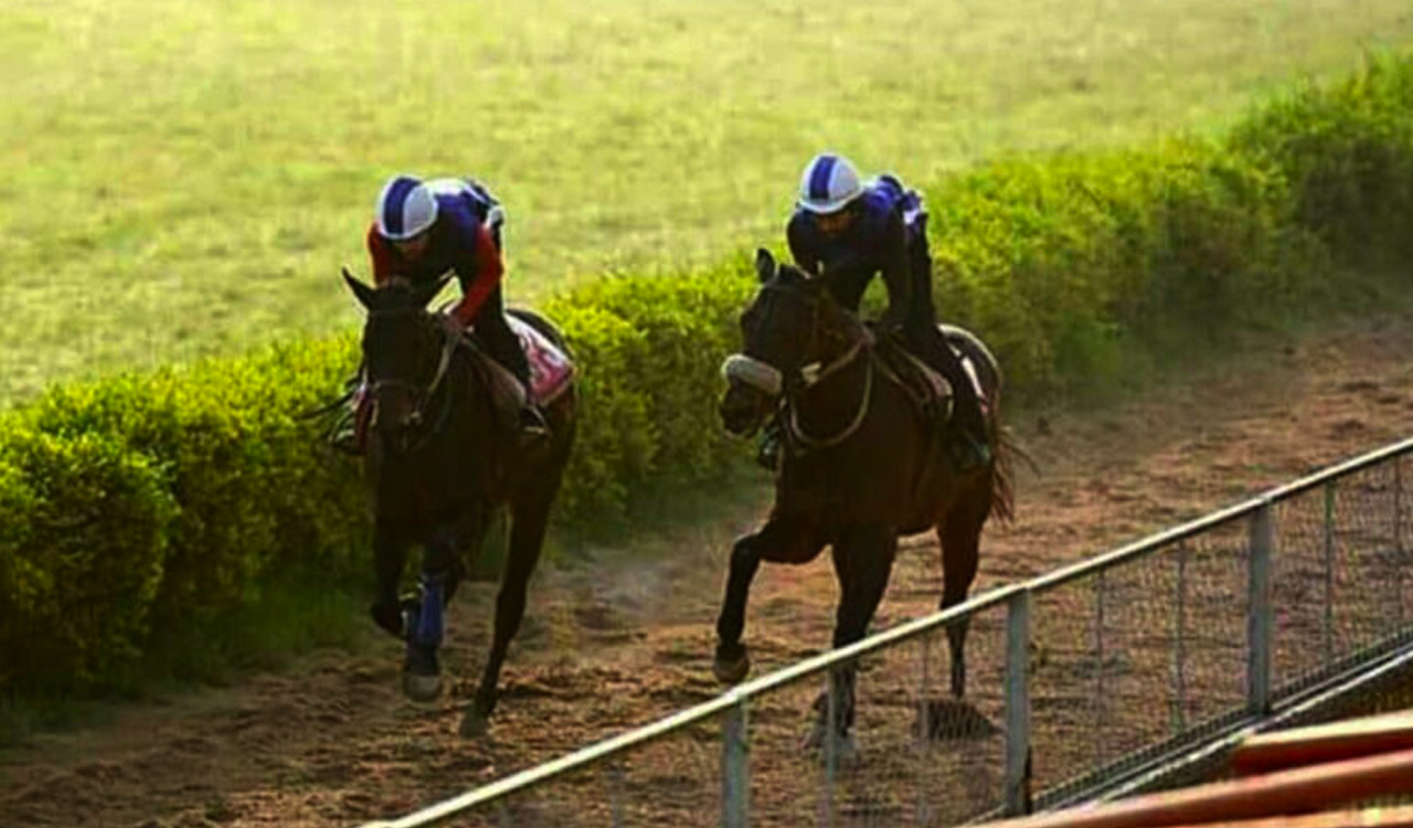 Horse Racing: Armoury, Bellagio, Bugsy shine in trials at Hyderabad Race Course