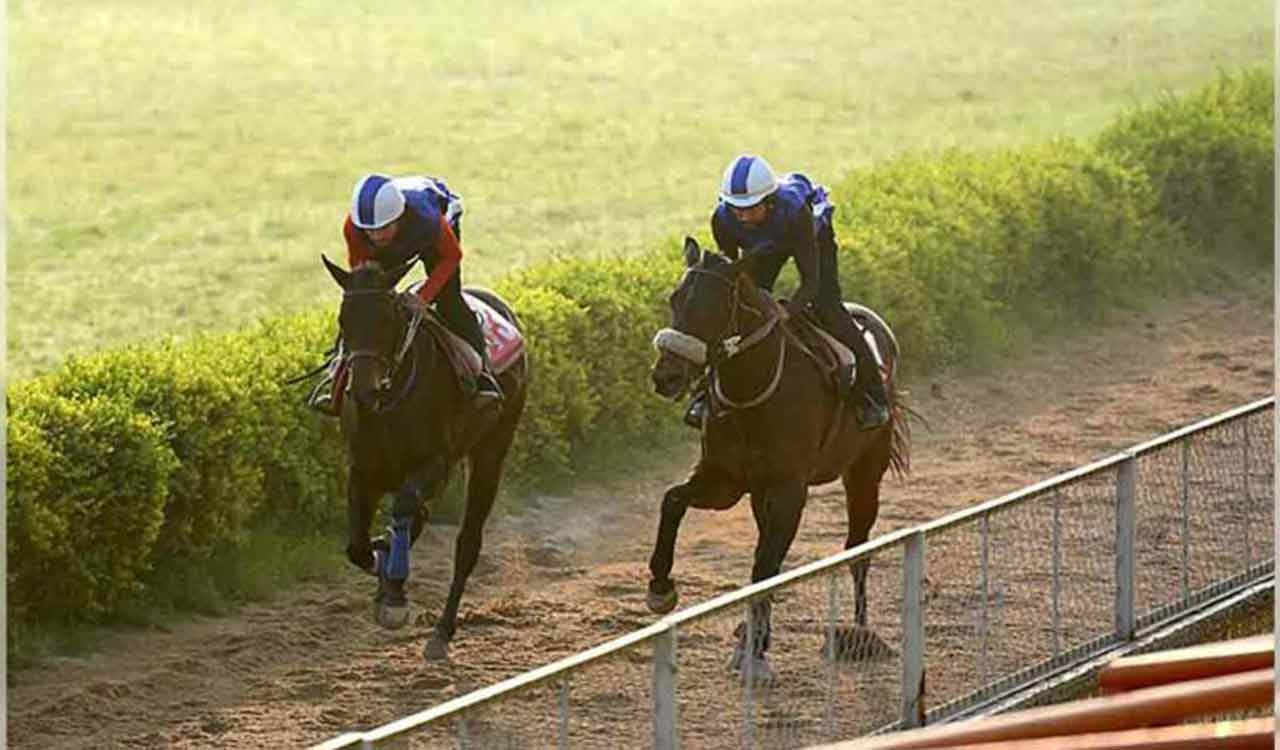 Horse Racing: Golden Marina fancied for Chennai feature