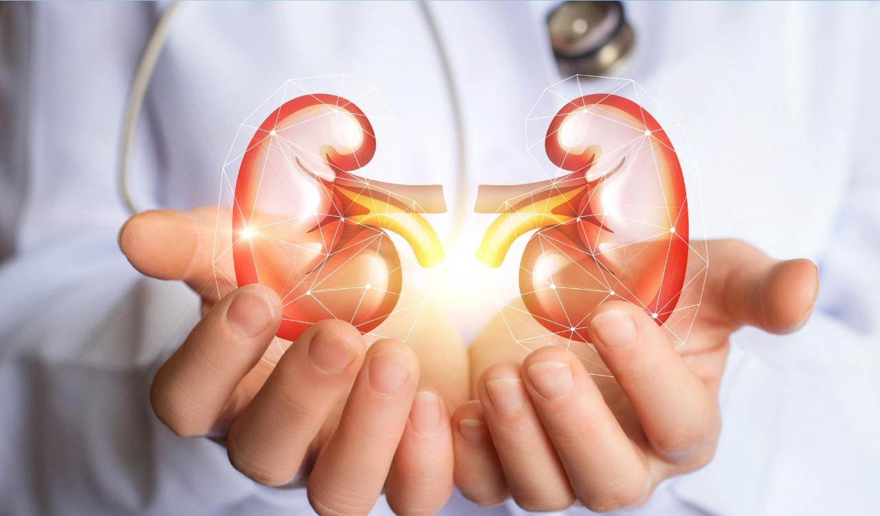 Watch out, some herbal products lead to kidney failures