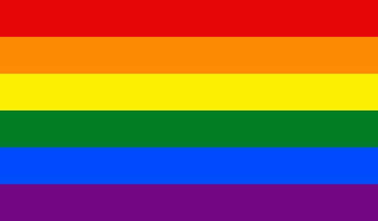 Different pride flags and what they mean