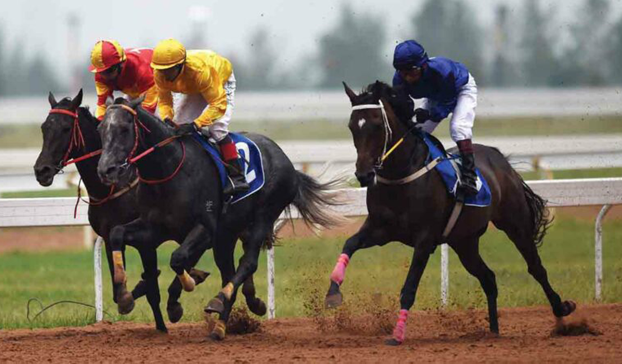 Horse Racing: Pleroma, She Can, High Command shine in trials