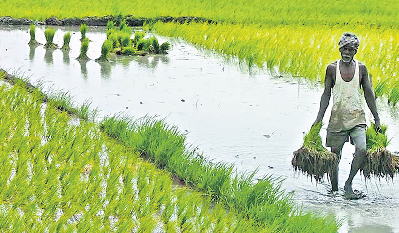 Tamil Nadu farmers demand implementation of KCR model of welfare and development