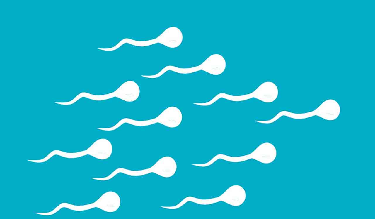 Global average sperm count has fallen by 51.6 per cent, says Oxford study