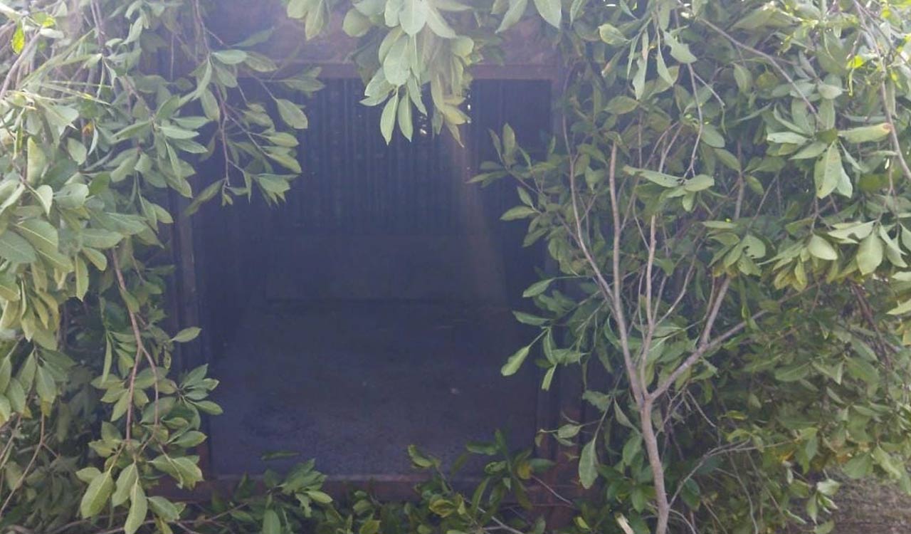 Killer tiger on the prowl in Kaghaznagar, Forest officials install cages to capture