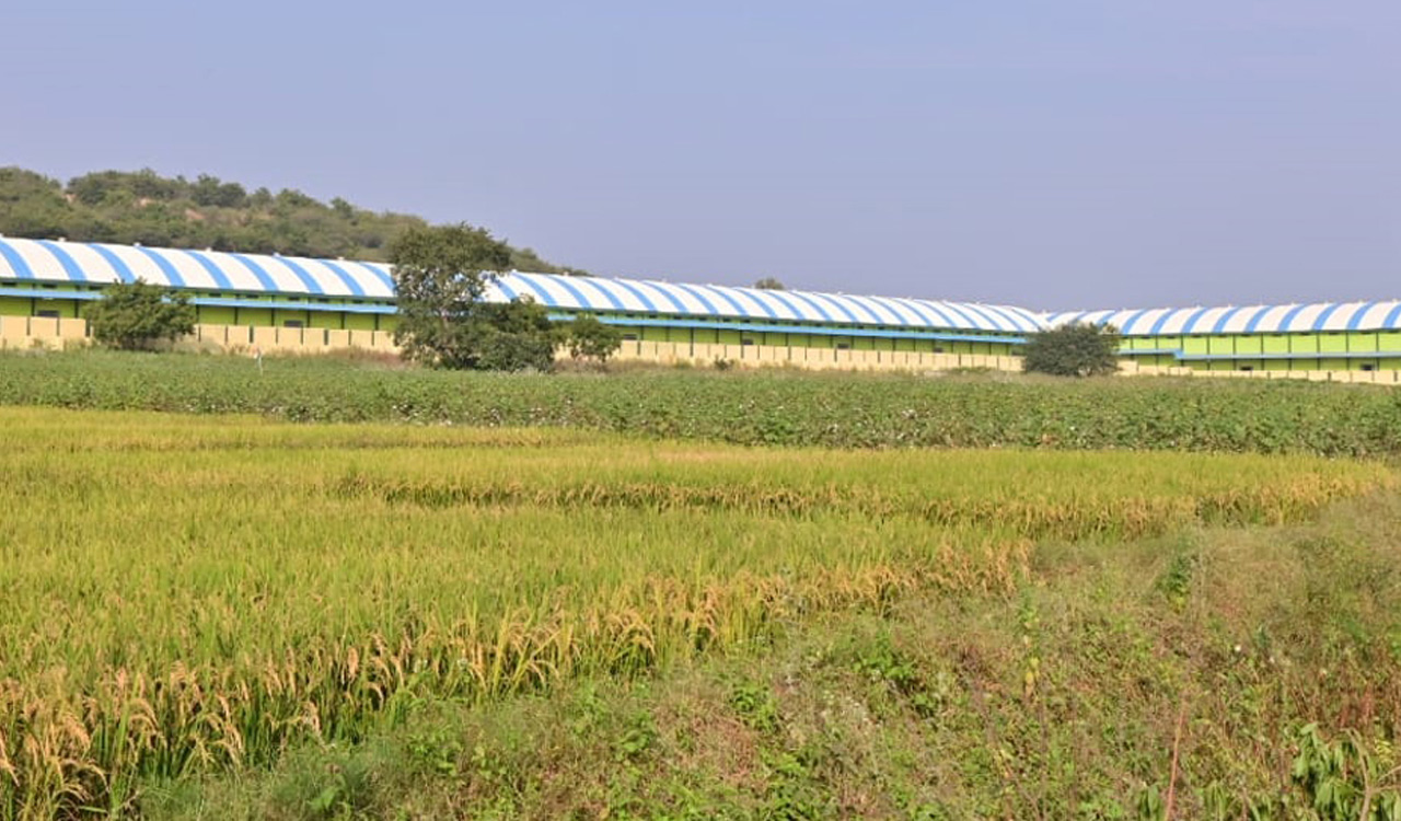 Three warehouses with 20,000 MT capacity set up in Khammam