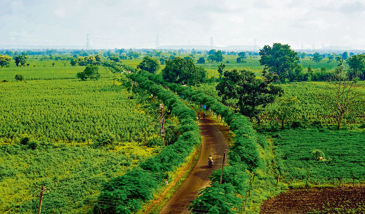 From tigers to urban parks to Haritha Haram, 2022 has been hectic for Telangana Forest Dept