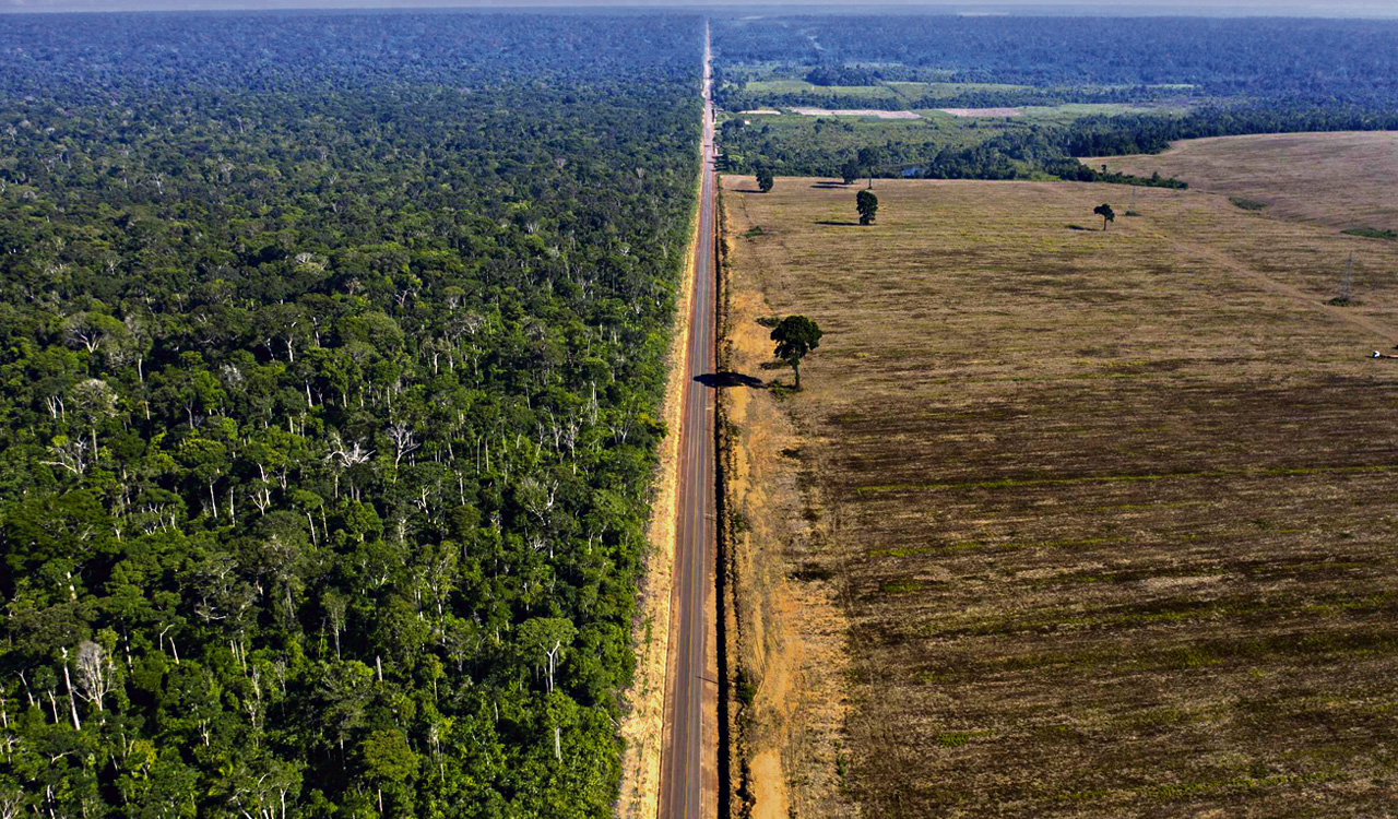 Opinion: Saving Amazon Lula’s toughest task