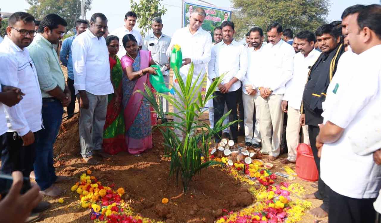 Farmer can earn Rs 30K per month on one acre palm oil crop: Harish Rao